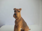 Airedale Terrier - by Karl Blindheim