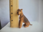Airedale Terrier - by Karl Blindheim