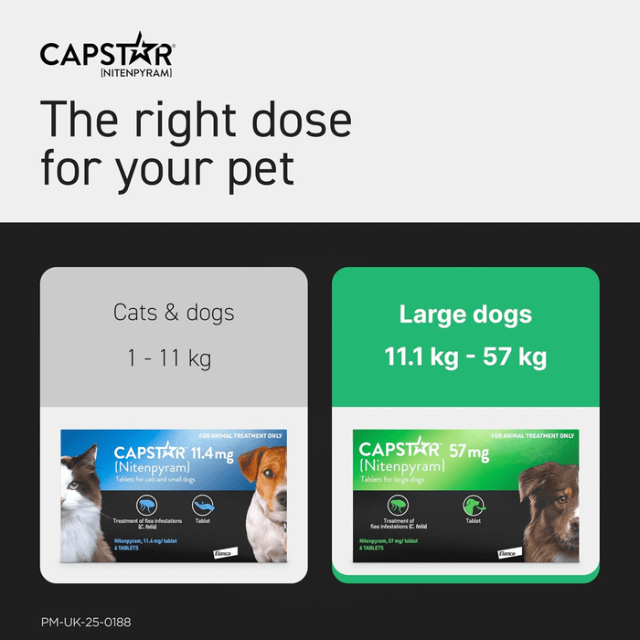 CAPSTAR pet medication packaging for cats and dogs with dosing information.
