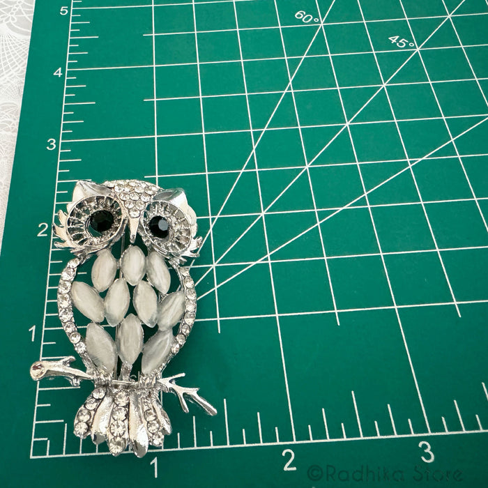 Lakshmi's Owl Carrier -  Pendants-(Pins)