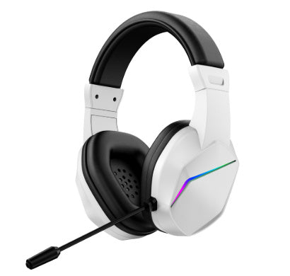 White / External microphone