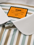 Steven Land Brown & Sage Striped Club Collar French Cuff 100% Cotton Wrinkle & Shrink Free Dress Shirt